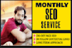 be your SEO expert, monthly white hat service