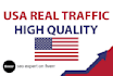 drive USA target website traffic with low bounce