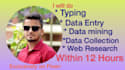 do data entry  fastest 12 hours