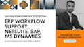 handle all your task in netsuite, sap, ms dynamics