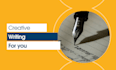 write excellent and compelling  creative writing pieces