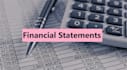 prepare financial statements, ratios analysis, and financial reviews