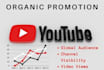 do youtube video promotion