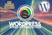 do wordpress speed optimization and improve page speed