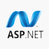 develop website using dot net