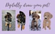 digitally draw your pet
