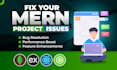 professionally fix your mern project reactjs express  node js