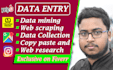 do data entry, data mining, web scraping, and web research