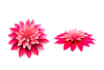 make beautiful diy paper craft videos