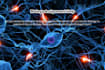 provide content related to biology