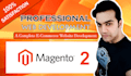 develop and customize your magento 2 website