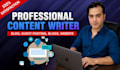 provide professional  SEO website content and article writing