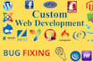 fix bugs,develop,install laravel,codeigniter, php website