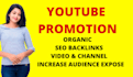 do  youtube video and channel promotion