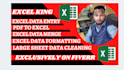 be your excel king do data entry,excel data merge,formatting