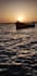 send you nature photographs