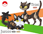 draw your pet as a pokemon