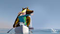 create 2d and 3d animations for children