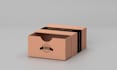 design 3d box mockup
