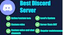 do the best and custom discord server