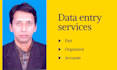 data entry, copy paste, conversion of pdf, word and web research