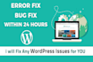 fix errors and bugs issues from your wordpress website