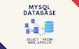 help you with phpmyadmin, sql and mysql database queries