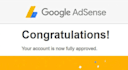 modify your website to get adsense approved