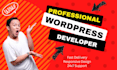 be your wordpress website designer and wordpress developer