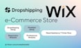professionally design or re touch a dropshipping wix website store with modalyst
