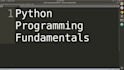 teach basics of python programming