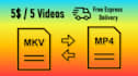 convert mkv, vid to mp4 and other formats conversion