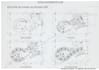 draw your floor plan, elevations, roof plan or sections