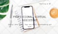 be your professional virtual assistant