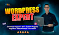 program and design a wordpress professional website