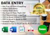 do data entry, pdf to excel data entry