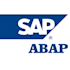develop and support all your ricefw in sap abap