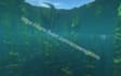 take beautiful screenshots for you in minecraft