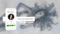 create instagram follow button reminder lower thirds