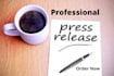 write a professional press release