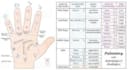read your hand and face and give predictions