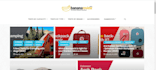 setup basic affiliate site or store with free hosting domain