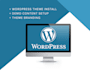 install wordpress theme and plugins