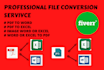 do professional pdf  to word or excel file conversion
