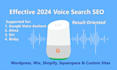 do 2024 voice search SEO optimization for any website