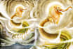 do beautiful digital illustrations