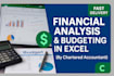 prepare professional budgeting and financial analysis in excel