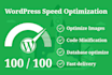 do wordpress speed optimization with gtmetrix or pagespeed insights