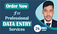 do data entry, web research, email collect, file conversion, and copy paste