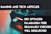 be your technical writer or gaming website content writer